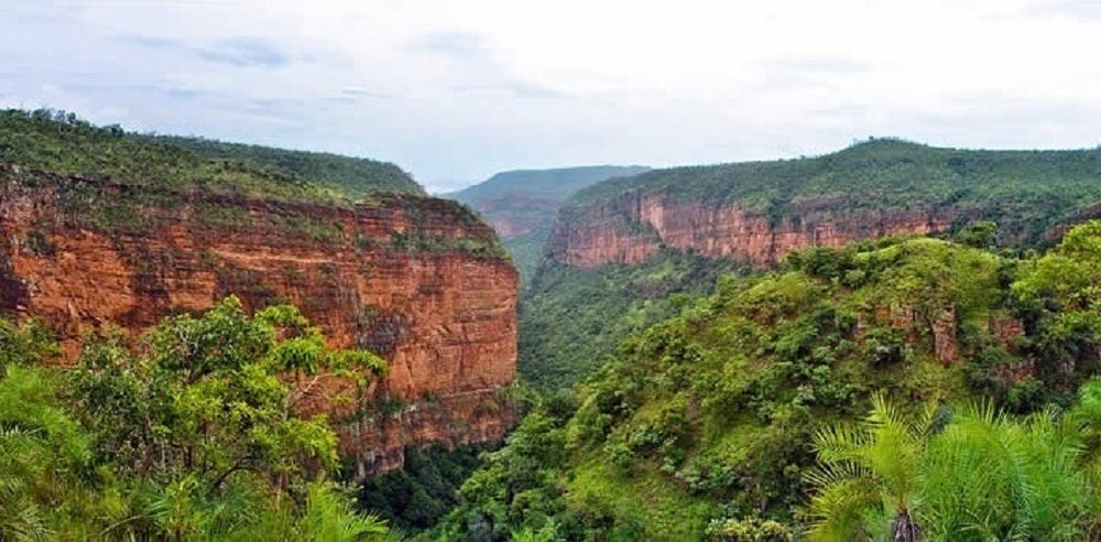 Sri Venkateswara Wildlife Sanctuary